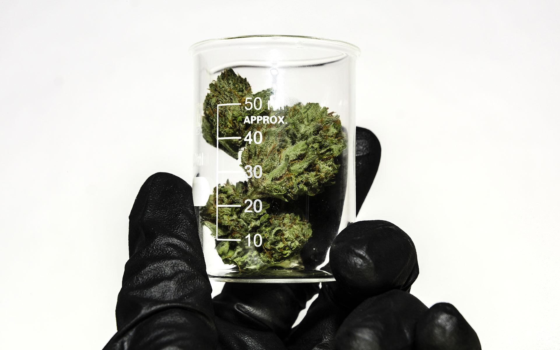 how to talk to your doctor about cannabis, doctors and marijuana