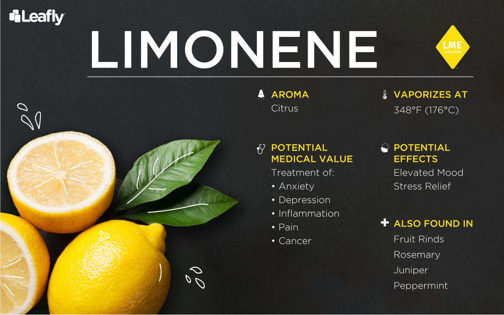terpene weed limonene