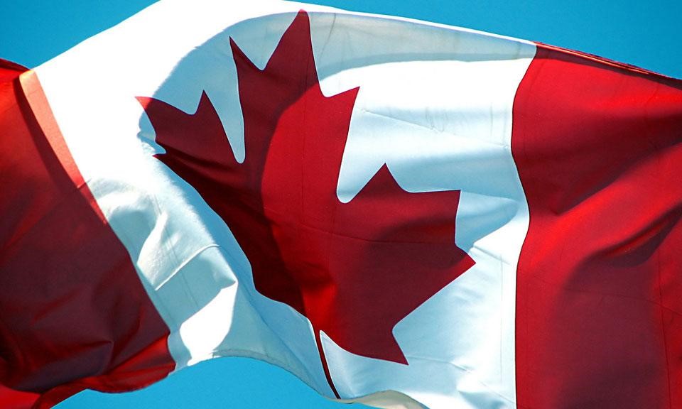 Five New Cannabis Strains with Canadian Origins