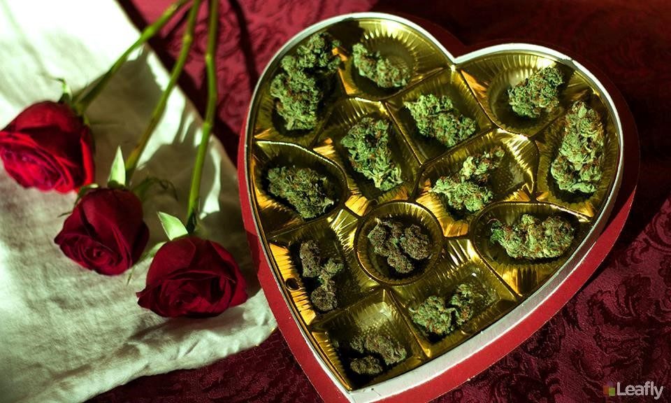 11 Arousing Strains To Help You Celebrate Valentine's Day Right