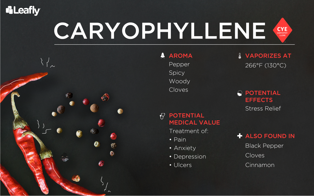 weed terpene caryophyllene