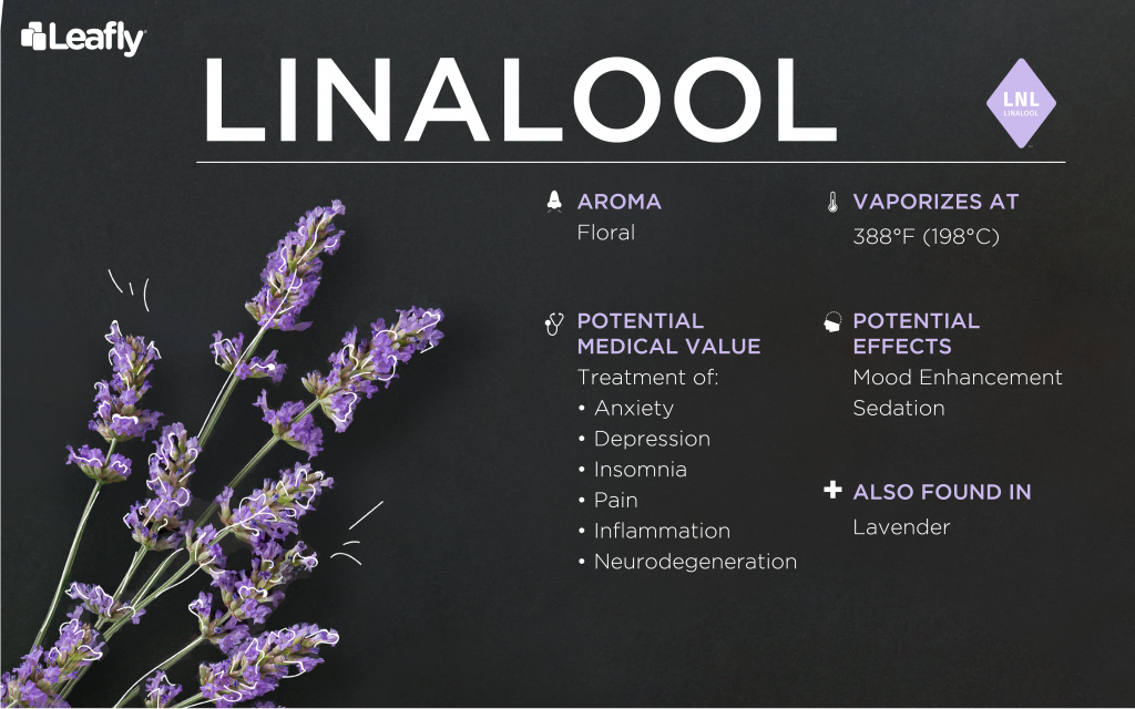 weed terpene linalool