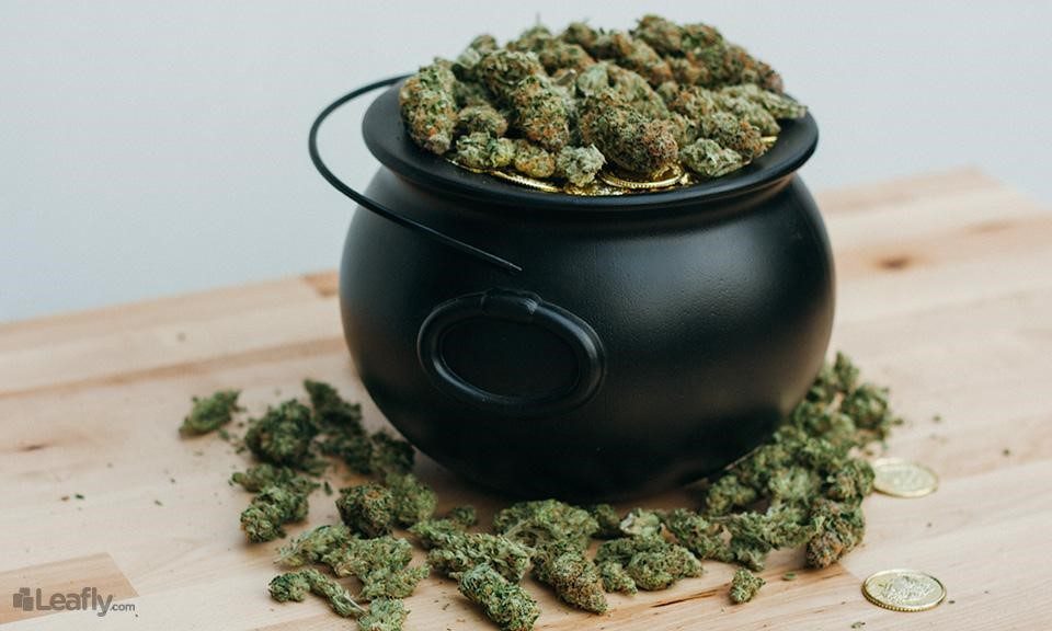 Luck o' the Irish: 15 'Green' Strains to Help You Celebrate St. Patrick's Day