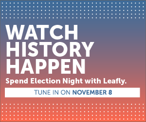 election 2016: live cannabis news coverage and results