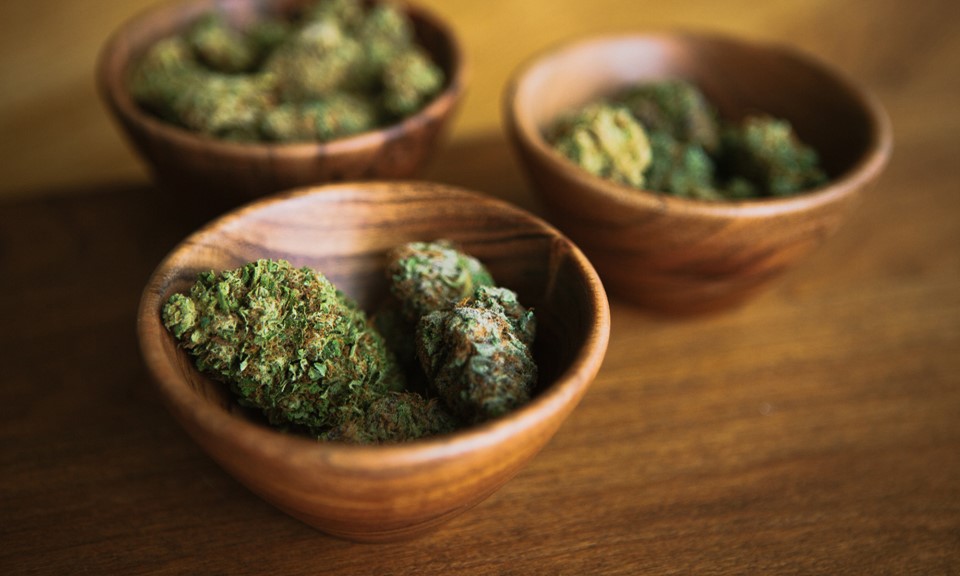 Which Strains Did Leafly Users Consume on 4/20?