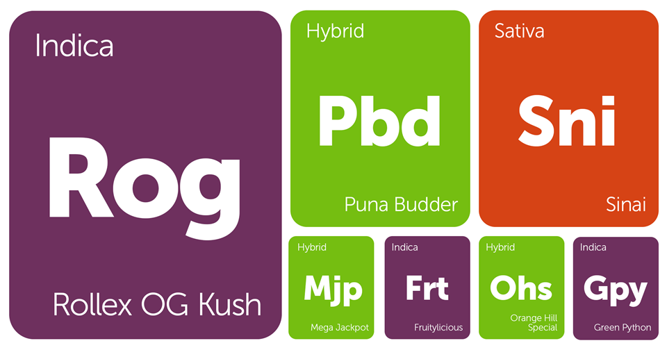 New Strains Alert: Rollex OG, Sinai, Puna Budder, Orange Hill Special, and More