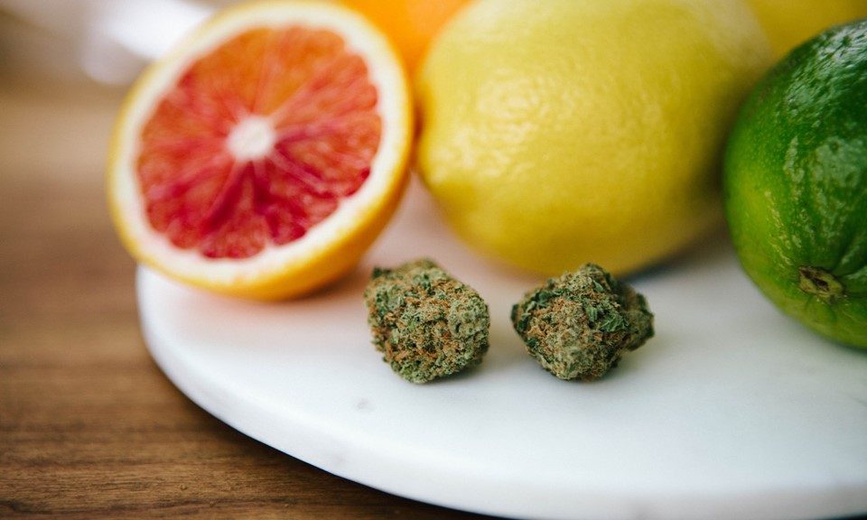 What Is Limonene and What Are the Benefits of This Cannabis Terpene?