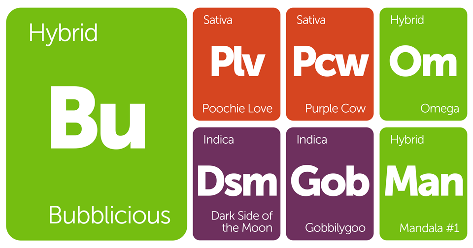 New Strains Alert: Poochie Love, Dark Side of the Moon, Omega, and More