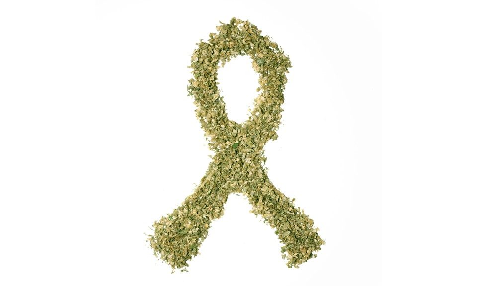 What Are the Best Cannabis Strains for Cancer-Related Symptoms?