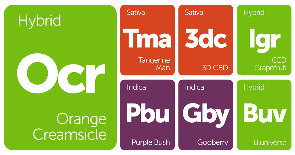 New Strains Alert: Orange Creamsicle, Bluniverse, ICED Grapefruit, 3D CBD, and More