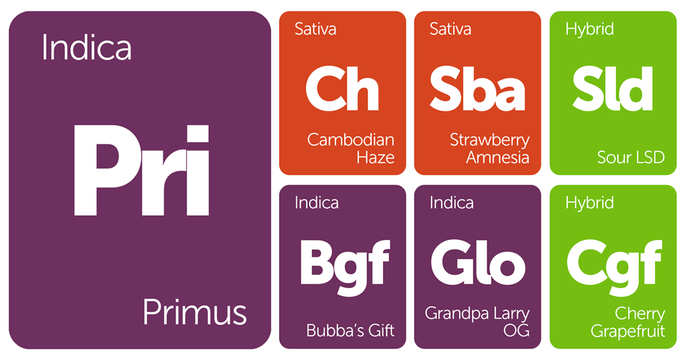 New Strains Alert: Primus, Sour LSD, Strawberry Amnesia, Bubba's Gift, and More