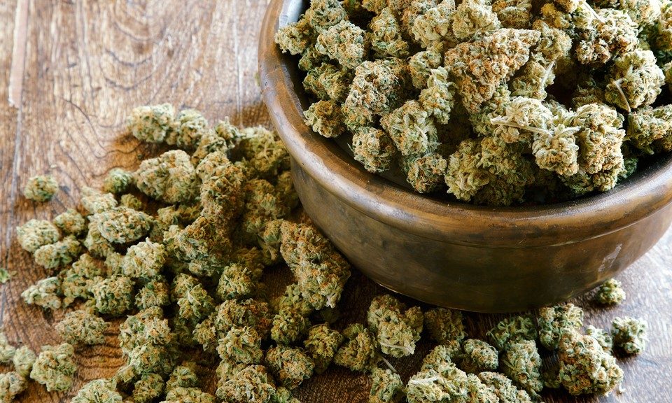 Top 10 Cannabis Strains in Colorado