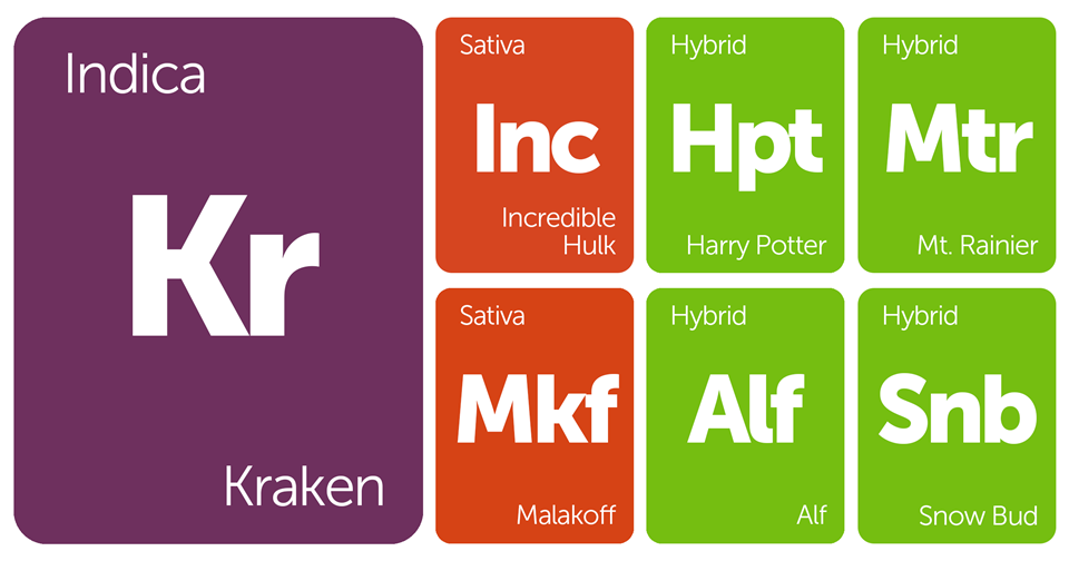 New Strains Alert: Kraken, Harry Potter, Incredible Hulk, Mt. Rainier, and More