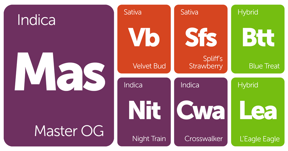 New Strains Alert: Master OG, Velvet Bud, Crosswalker, and Night Train