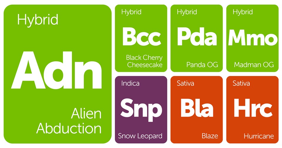 New Strains Alert: Alien Abduction, Snow Leopard, Panda OG, Madman OG, and More