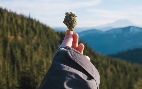 cannabis-in-the-great-outdoors-tips-tricks-and-advice-for-hiking-480x300.jpg