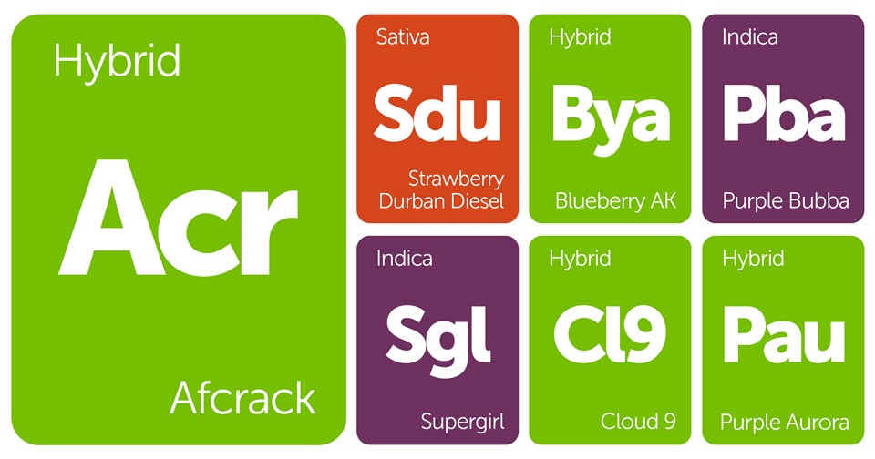 New Strains Alert: Afcrack, Purple Bubba, Blueberry AK, Cloud 9, and More