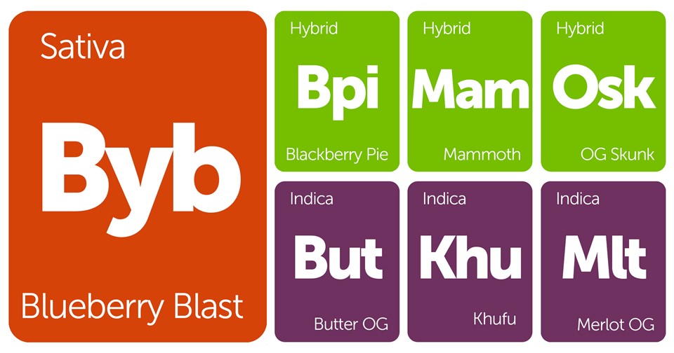 New Strains Alert: Butter OG, Blackberry Pie, Khufu, Mammoth, and More