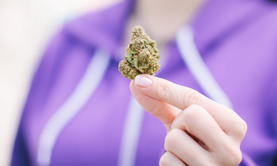 What Cannabis Strains Do Women Want?