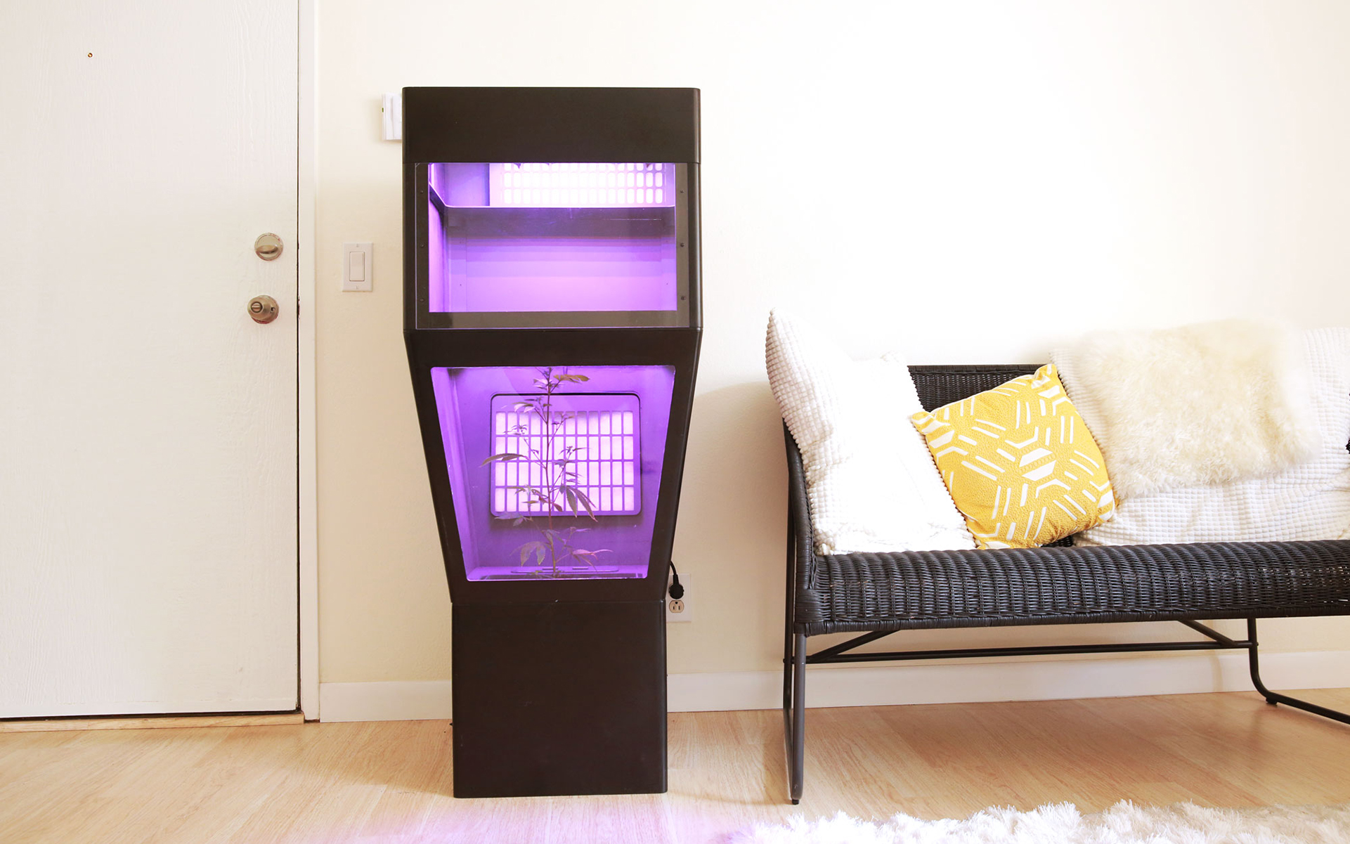 GroBox in living room