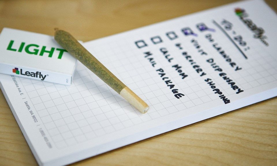 6 Cannabis Strains to Help You Stay Productive