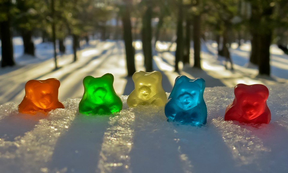 colorado will ban cannabis gummy bears leafly