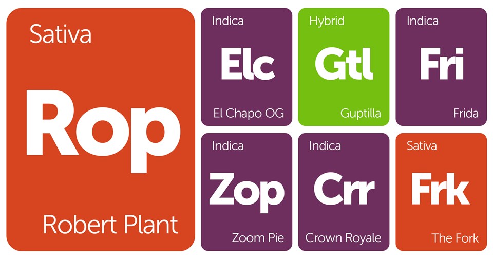 New Strains Alert: Robert Plant, Zoom Pie, Frida, and More