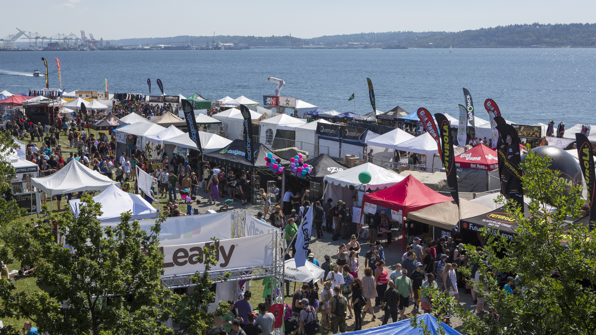 Seattle Hempfest cannabis festival