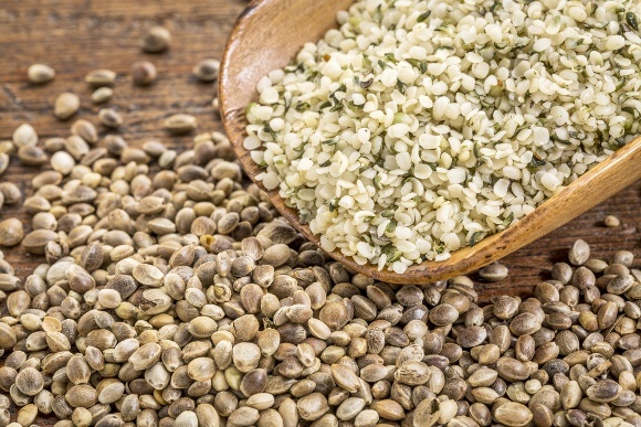 Hemp Basics