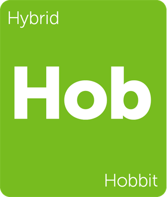 Behind Tolkien’s Books: Is Hobbit Pipe-Weed Really Cannabis?