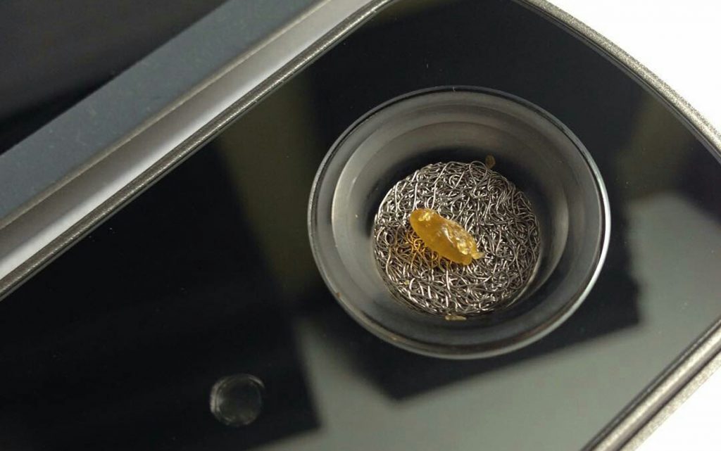 concentrate-firefly-5