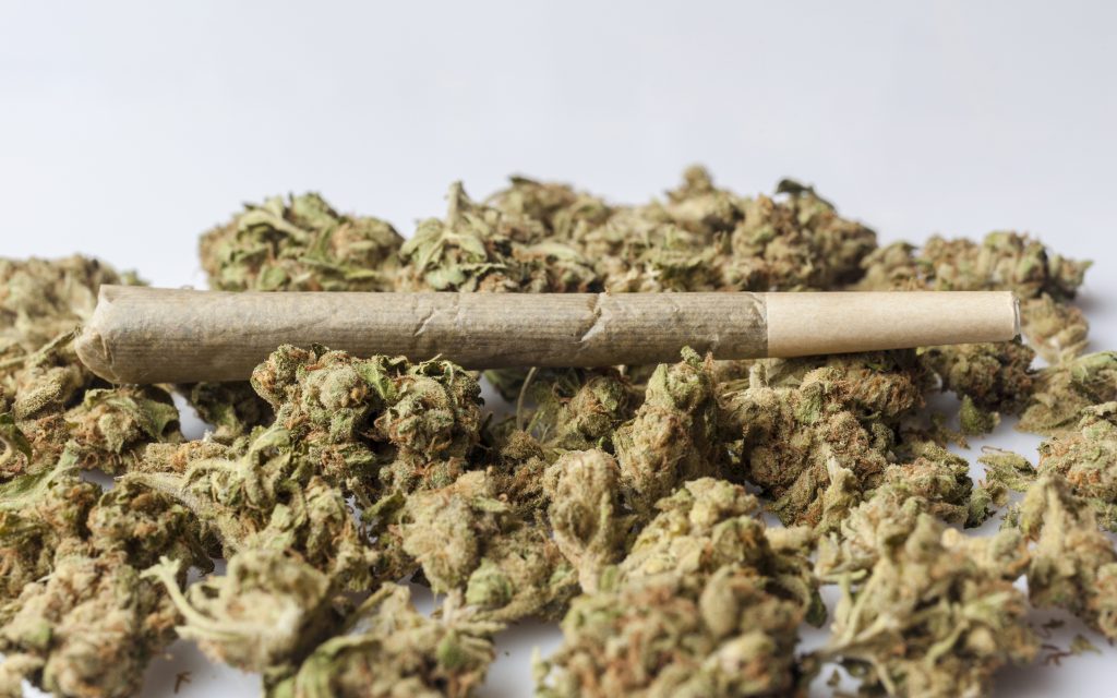 Medical cannabis joint on cannabis buds from side