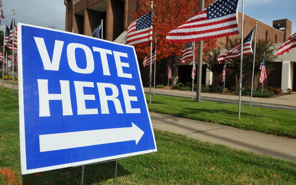 6 Strains to Help You Survive the 2016 Election