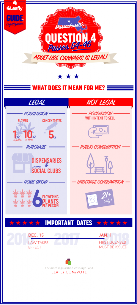 Click to open full-size image in a new tab. (Amy Phung/Leafly)