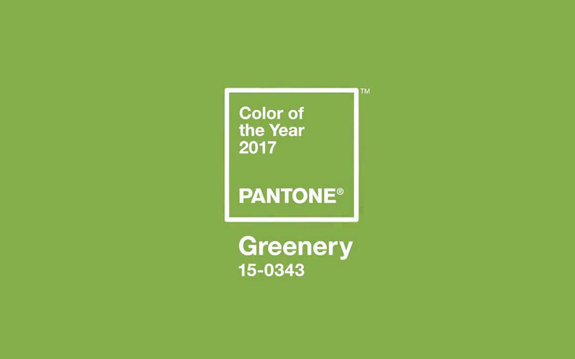 Pair Pantone’s "Greenery" Color of the Year for 2017 with These 7 Subtle Accessories