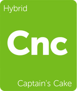 Leafly Captain's Cake hybrid cannabis strain