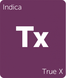 Leafly True X indica cannabis strain