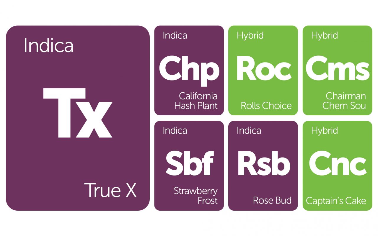 New Strains Alert: Strawberry Frost, California Hash Plant, Captain