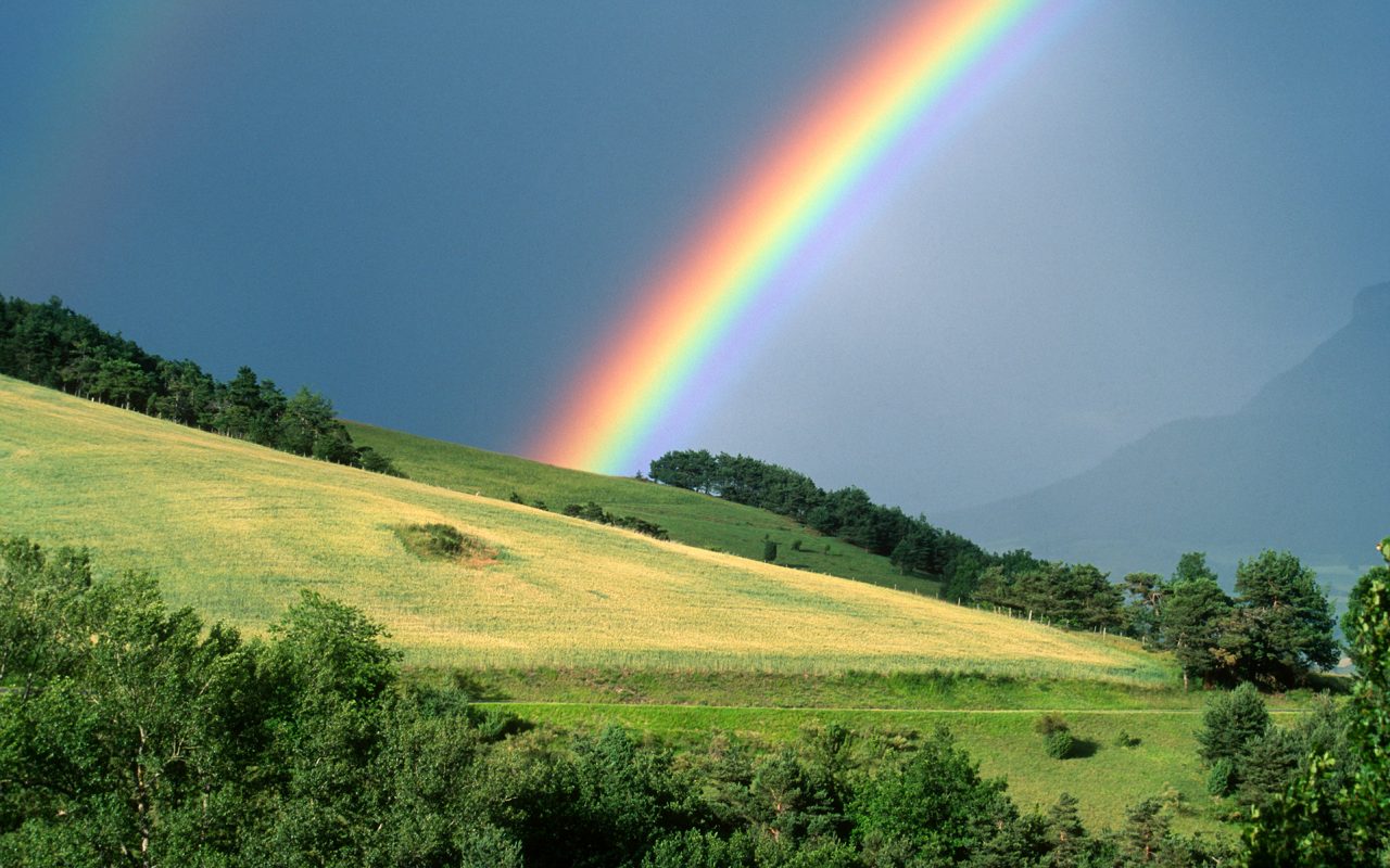 Cannabis strains that complement rainbow colors