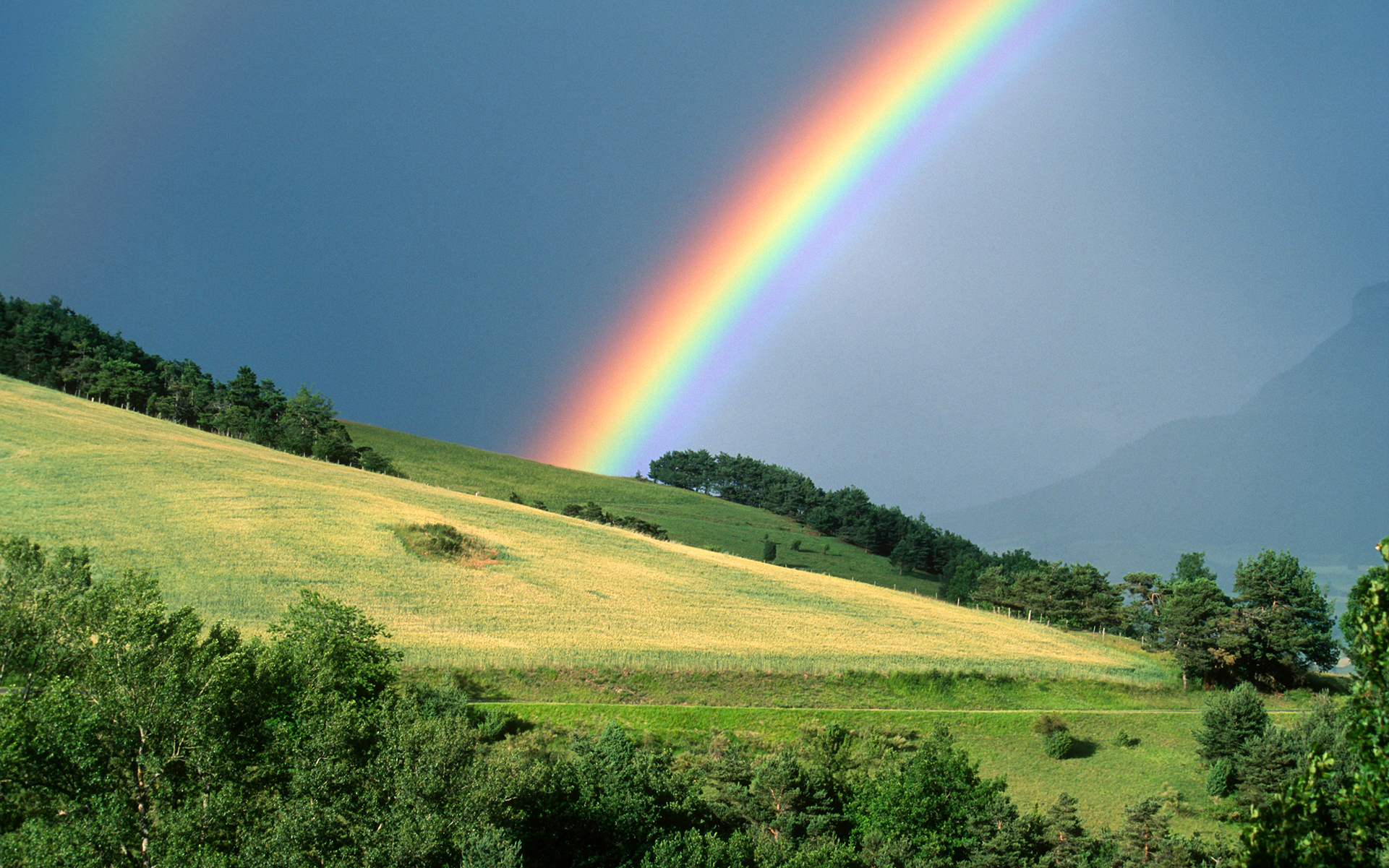 Taste the 'Strainbow' With These Colorful Cannabis Pairings