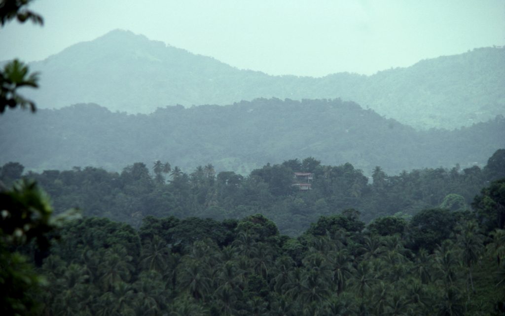 marley-2