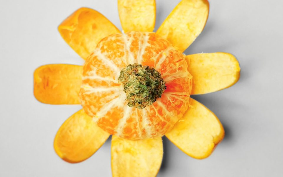 Leafly Staff Picks: The Best Tasting Cannabis Strains