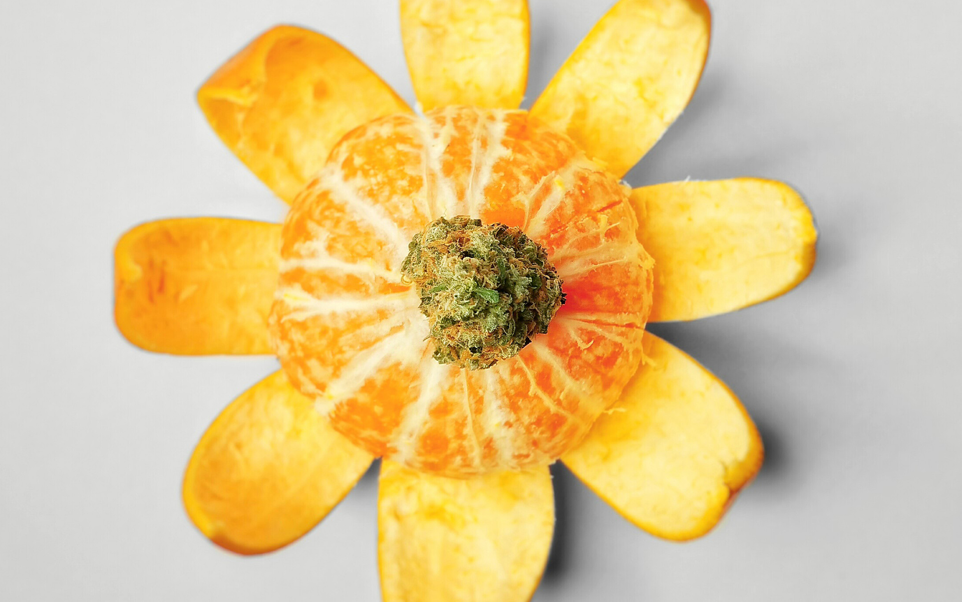Leafly Staff Picks: The Best-Tasting Cannabis Strains