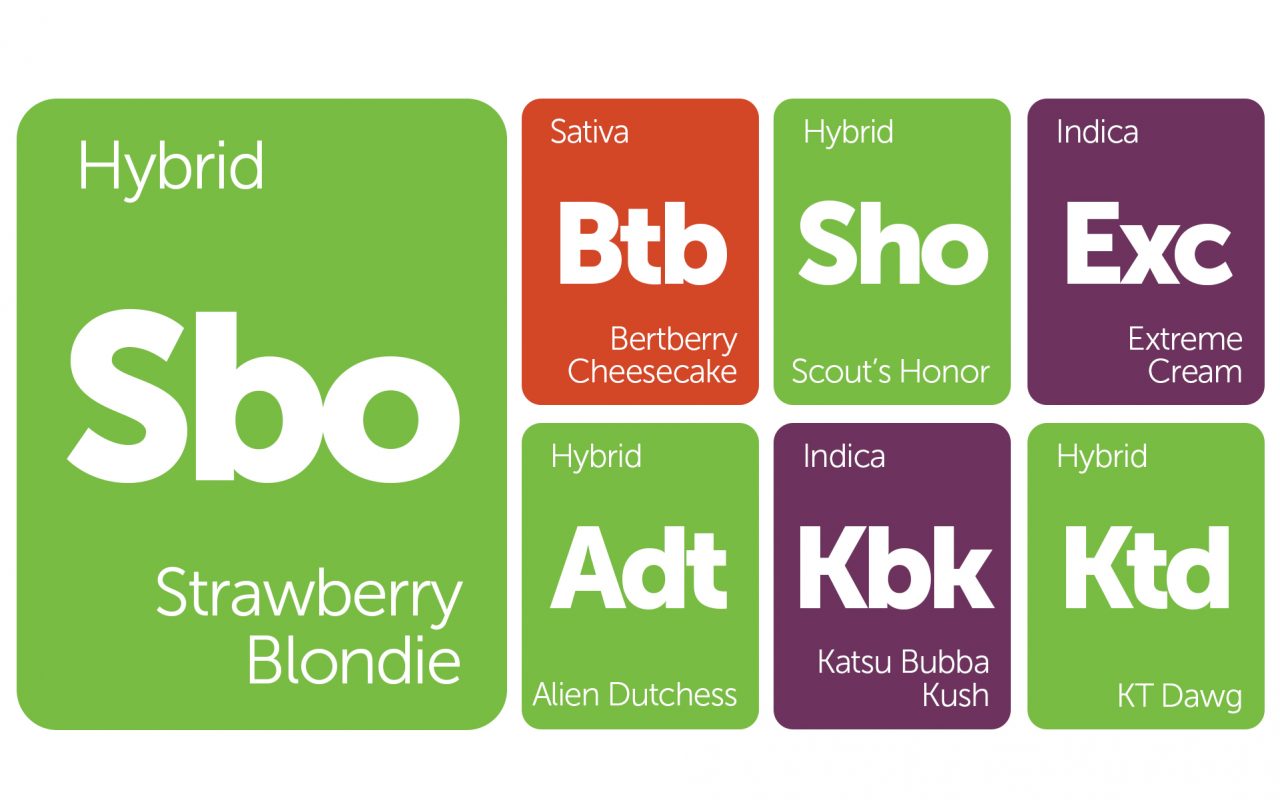 New Strains Alert: Alien Dutchess, Katsu Bubba Kush, and More