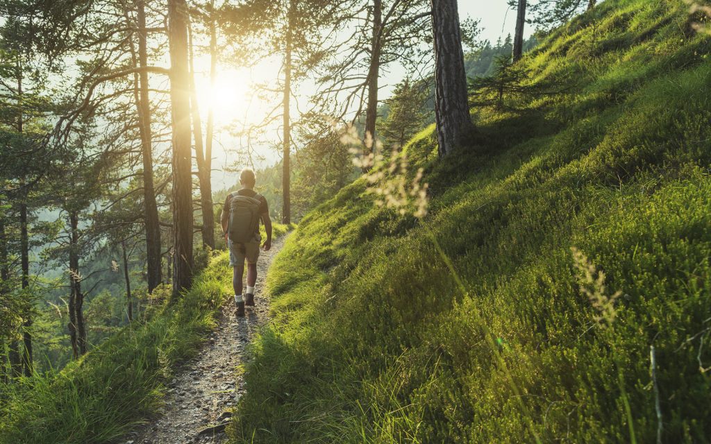 Senior man trail hiking in the forest at sunset