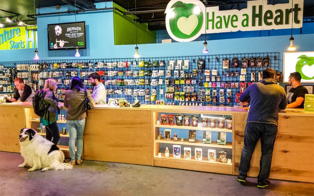 What Are Dispensaries Planning for 4/20, and How Can Your Business Take Advantage?