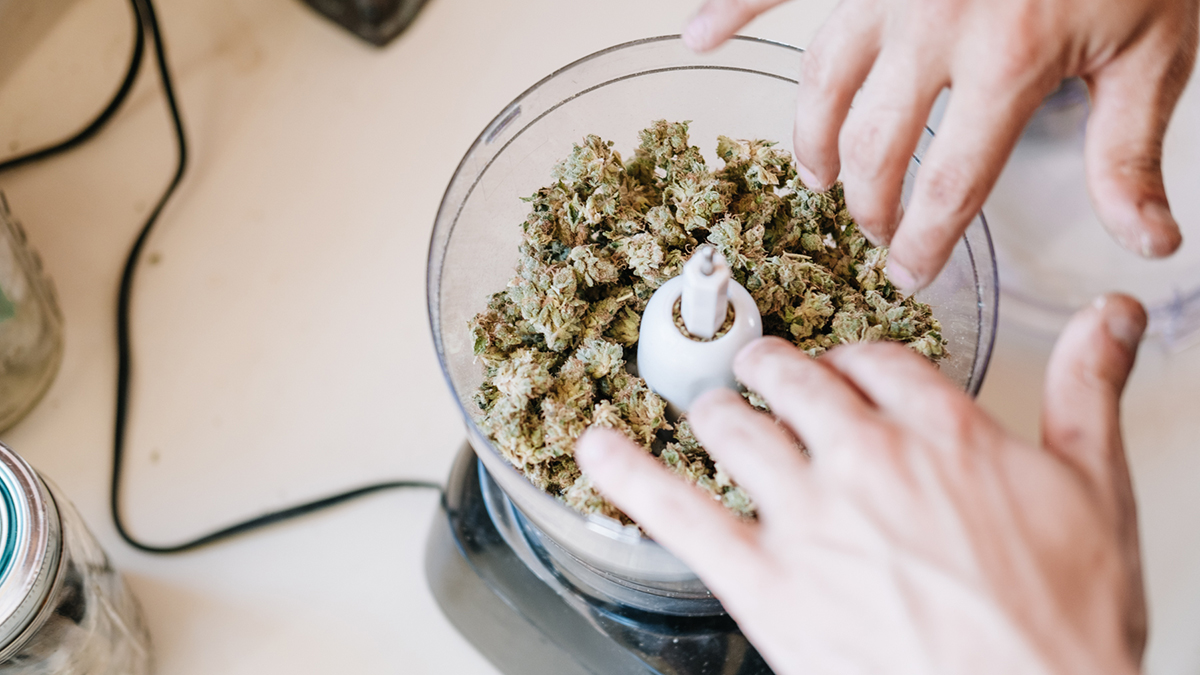 The Evolution of a Tony Greenhand Joint | Leafly
