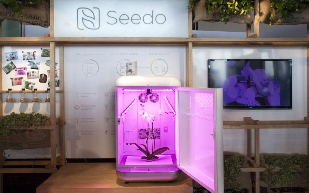 (Courtesy of Seedo)