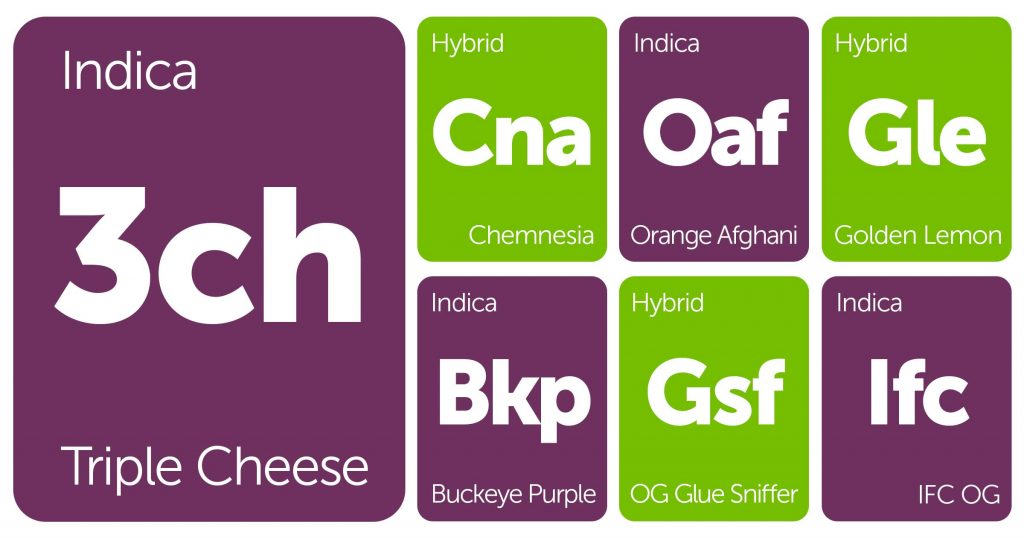 New Strains Alert: OG Glue Sniffer, Buckeye Purple, Golden Lemon, and More