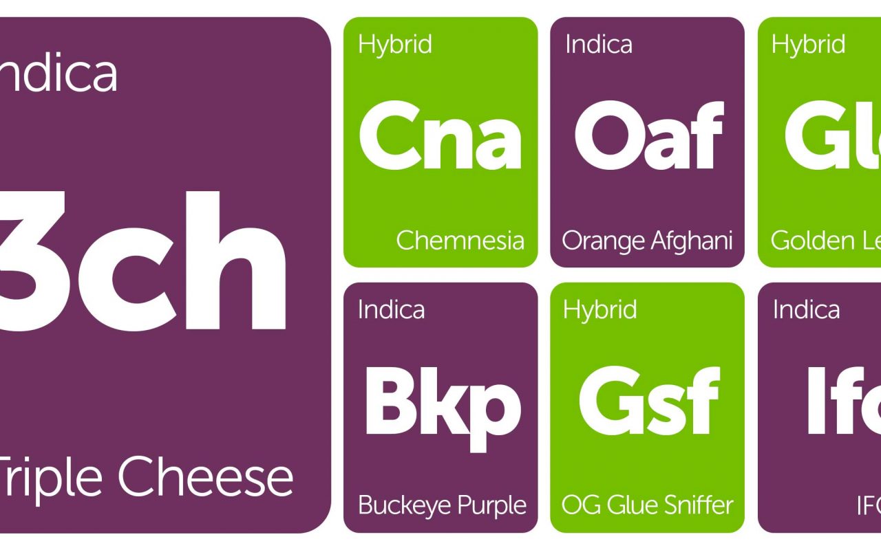 New Strains Alert: OG Glue Sniffer, Buckeye Purple, Golden Lemon, and More